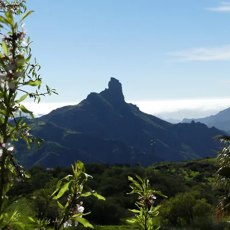 Hostel Mountain La Isa By Rose Tejeda (Gran Canaria)