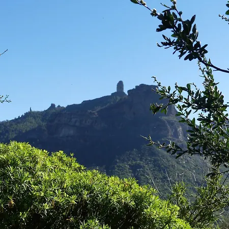 Mountain Hostel&house La Isa By Rose Hostel Tejeda